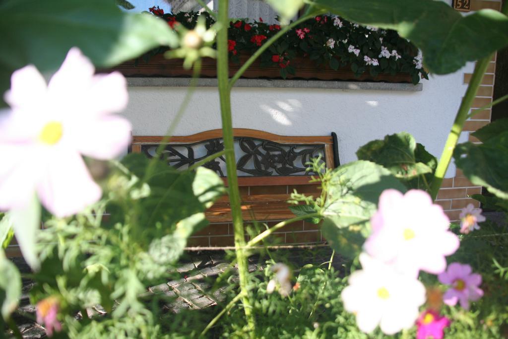 ברגהאוזן Hotel - Restaurant Berghof מראה חיצוני תמונה